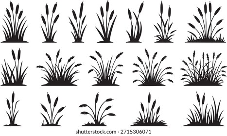 Colección de varias siluetas de hierba sobre fondo blanco Vector, ilustración
