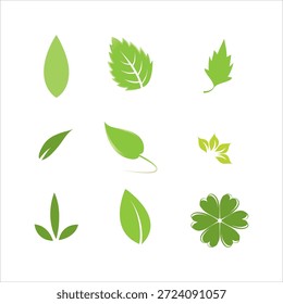 Coleção de várias formas de folhas verdes e desenhos
