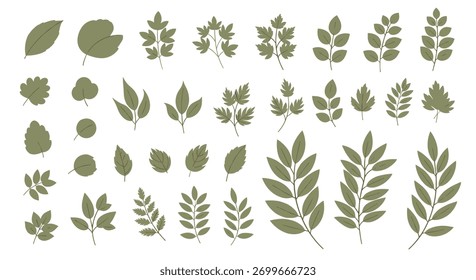 Coleção de várias folhas verdes e ramos em um fundo branco, perfeito para ilustrações botânicas, desenhos com temas naturais e padrões orgânicos.