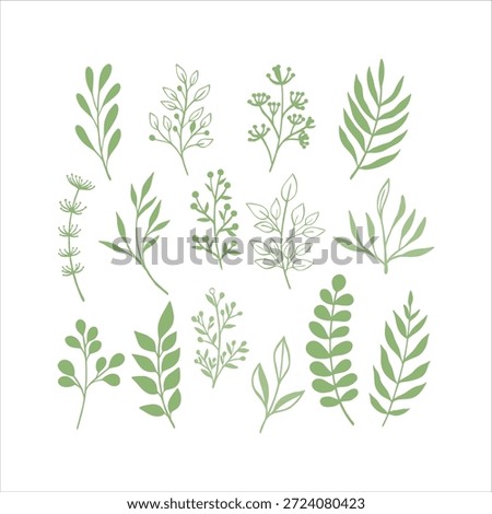 Collection of various green leaves and branches in different styles on a white background.