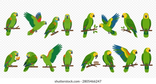 A collection of various green parrots in different poses, including flying, perching, and eating, against a transparent background.