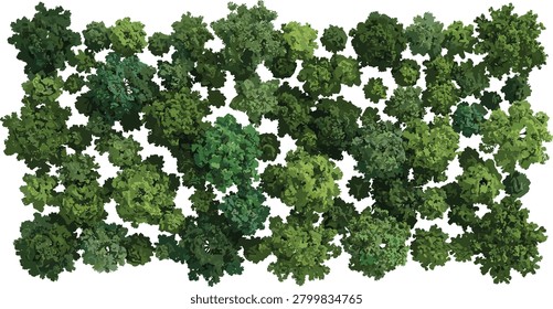 A collection of various green tree crowns seen from above, ideal for creating architectural site plans and landscape designs. This isolated element provides a realistic aerial perspective for urban planning and masterplan projects.
