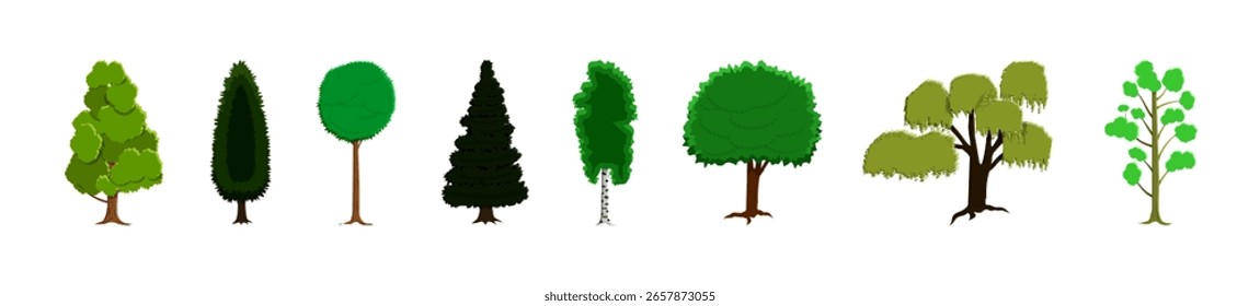 Coleção de vários tipos de árvore verde em estilo plano. Ilustração de planta florestal diversa para a natureza e projeto de jardim.