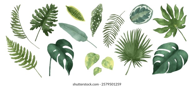 Collection of various green tropical leaves, including ferns and monstera. Watercolor style with diverse leaf shapes and textures. Botanical and natural theme. Nature illustrations, vector set.