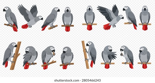 A collection of various grey parrots, also known as African Grey Parrots, in different poses and actions, some perched on branches, some flying.