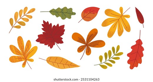 Collection of various hand drawn autumn leaves with grunge texture. Template of maple, oak, chestnut, rowan. Trendy flat illustration.