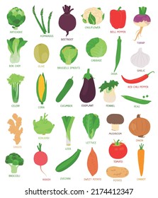 Collection of various hand drawn, colorful vegetables, isolated on a white background.