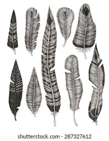 Collection of various hand drawn feathers on white  background.