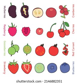Colección de varias bayas de colores planos dibujadas a mano, aisladas en un fondo blanco.