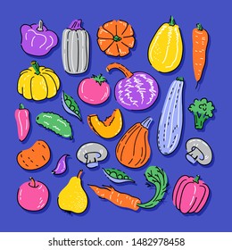 Collection of various hand drawn vegetables. Vector illustration