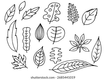 Collection of Various Hand-Drawn Leaf Outlines