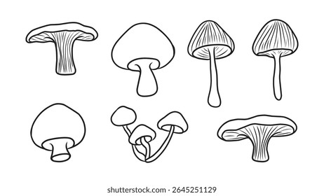 Collection of Various Hand-Drawn Mushroom Illustrations in Outline Style for Nature Designs
