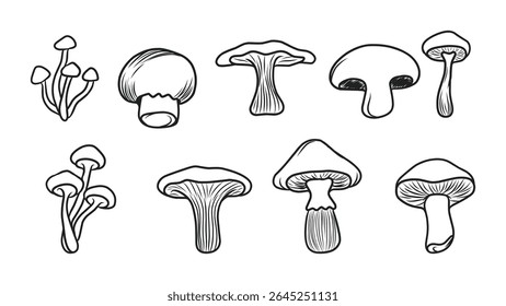 Collection of Various Hand-Drawn Mushroom Illustrations in Outline Style for Nature Designs
