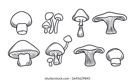 Collection of Various Hand-Drawn Mushroom Illustrations in Outline Style for Nature Designs