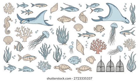 Coleção de várias criaturas marinhas desenhadas à mão, incluindo peixes, raias, cavalos marinhos e águas-vivas com corais e conchas.
