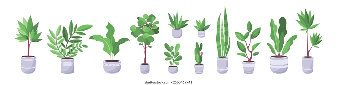 A collection of various houseplants. Trees, plants, and cacti in pots. Vector set in a flat style