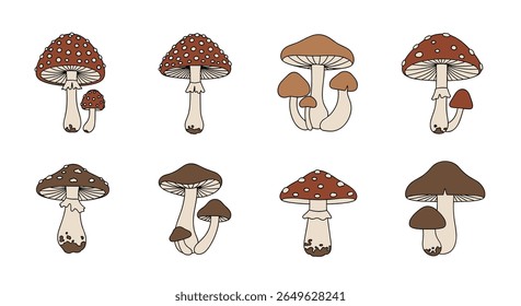 Coleção de vários fungos florestais ilustrados com caules e capas manchados