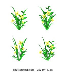 Colección de varias ilustraciones de plantas con flores