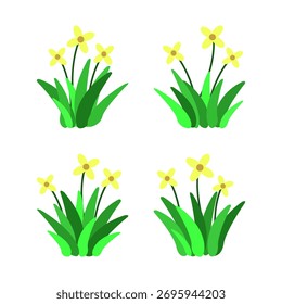 Colección de varias ilustraciones de plantas con flores