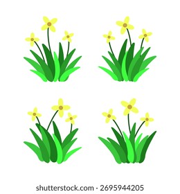 Collection of various illustrations of flowering plants