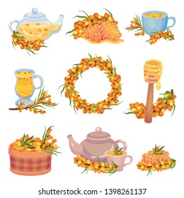 Collection of various images of sea buckthorn and products from it. Vector illustration on white background.