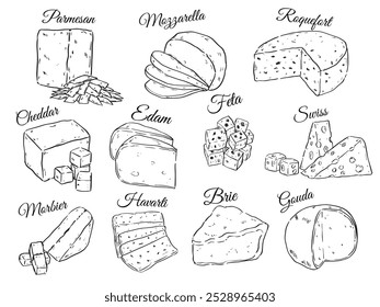Collection of various kind of cheese hand drawn outline drawing vector food illustration set 4