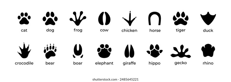 a collection of various kinds of animal footprints