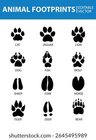 a collection of various kinds of animal footprints