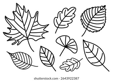 A Collection of Various Leaf Illustrations Available for Multiple Creative Uses and Projects