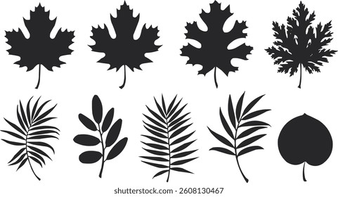 A collection of various leaf silhouettes,