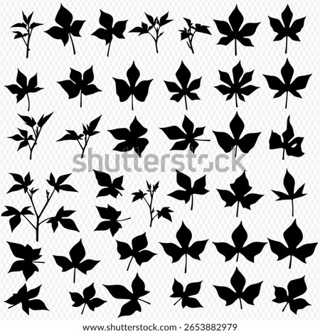 A collection of various leaf silhouettes, some with stems, arranged in a grid pattern.