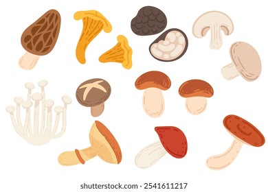 Coleção de vários cogumelos, incluindo morels, chanterelles e shiitakes, simbolizando a natureza, floresta e usos culinários. Ótimo para comida orgânica, saúde e visuais de restaurante. Vetor