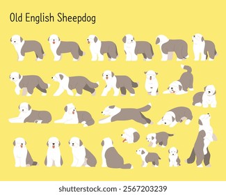 A collection of various Old English Sheepdog movements. simple vector illustrations.
