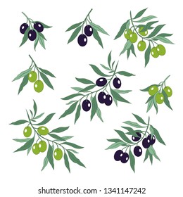 
Collection of various olive branches.
Vector images of the branches with green and black olives. Hand drawn color illustration. Clipart.