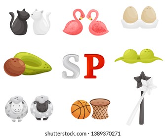 Collection of various pairs of salt shakers and pepper shakers. Vector illustration.