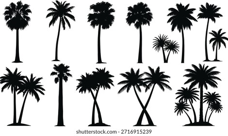 Colección de varias siluetas de palmeras, perfectas para agregar un ambiente tropical o playero a los diseños