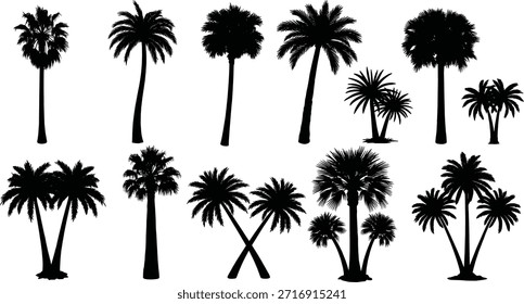 Colección de varias siluetas de palmeras, perfectas para agregar un ambiente tropical o playero a los diseños