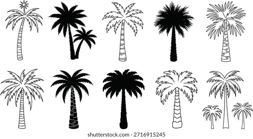Colección de varias siluetas de palmeras, perfectas para agregar un ambiente tropical o playero a los diseños