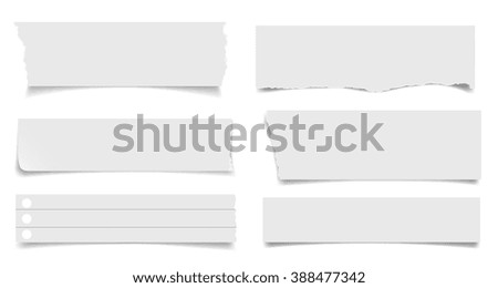 collection of various pieces of note paper on white background. each one is shot separately