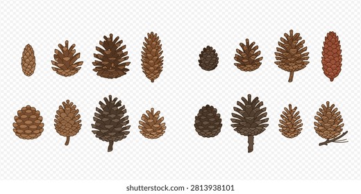 A collection of various pine cones in different shapes, sizes, and shades of brown, depicted as hand-drawn illustrations.