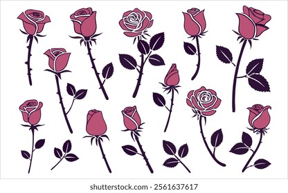 Collection of Various Pink Rose Illustrations with Different Bloom Stages and Leaf Arrangements.