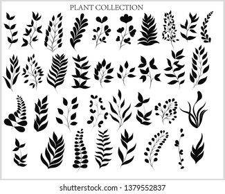 Colección de varias plantas sobre un fondo blanco