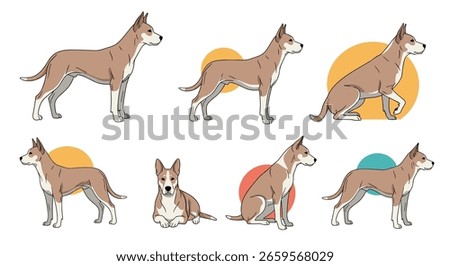 Collection of various poses and angles of a brown and white dog with erect ears and tail standing sitting and lying down against simple circular backgrounds