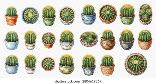 A collection of various potted cacti, each with unique pots and vibrant green plants, showcasing different shapes and sizes.