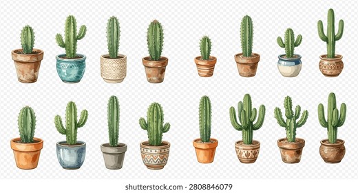 A collection of various potted cacti and succulents, showcasing different shapes, sizes, and pot designs in a watercolor style.
