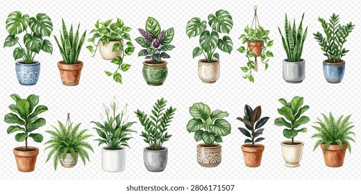 A collection of various potted houseplants with green leaves and different types of pots, isolated on a transparent background.