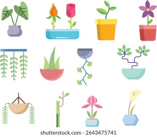 Collection of various potted plants and flowers Rubber Plant, Bonsai, Bamboo, Aloe Vera
