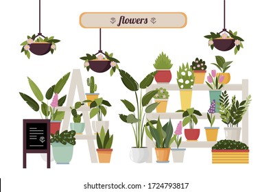 Collection of various potted, tropical, house plants, cactus. Vector illustration for flower shops with flowers, garden, house plants, shelves in flat style. Vector illustration
