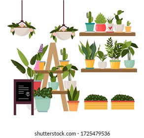 Collection of various potted, tropical, house plants, cactus. Vector illustration for flower shops with flowers, garden, house plants, shelves in flat style. Vector illustration