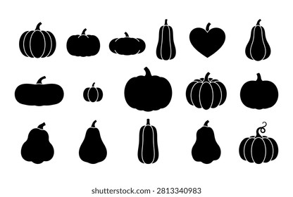 Collection various pumpkin 